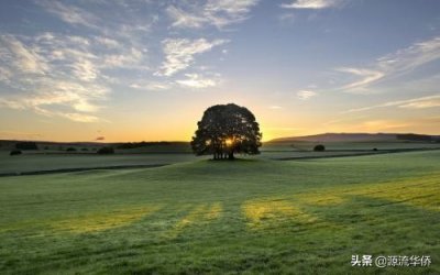 ​英文唯美句子短句：When you turned back……