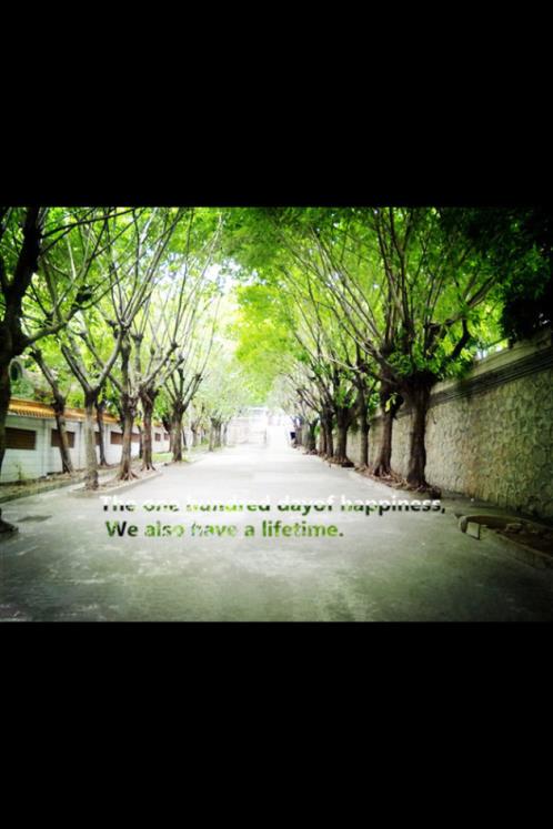 适合睡前发朋友圈的温馨晚安心情语录