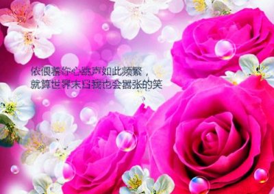 ​浪漫幸福的爱情句子 说说爱情幸福的句子