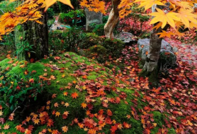 ​下班有奶茶喝发朋友圈的句子(精选73句)