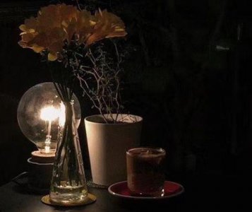 ​春天元气满满可爱的句子68句