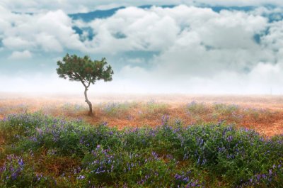 ​抖音人生感悟句子 抖音最受欢迎的经典语录