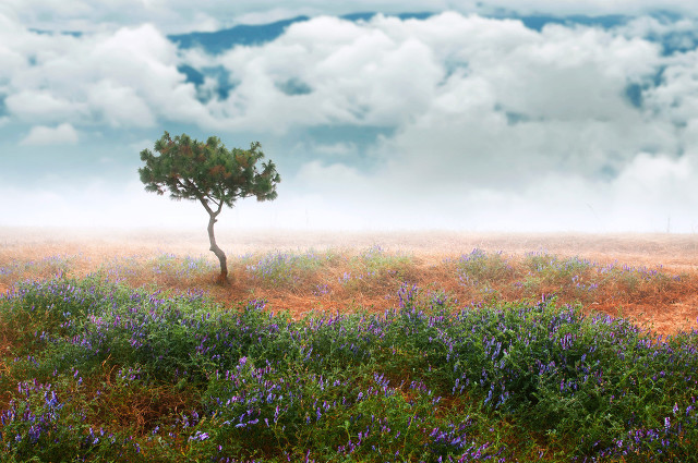 抖音人生感悟句子 抖音最受欢迎的经典语录