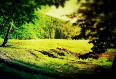 ​历练人生的经典语录