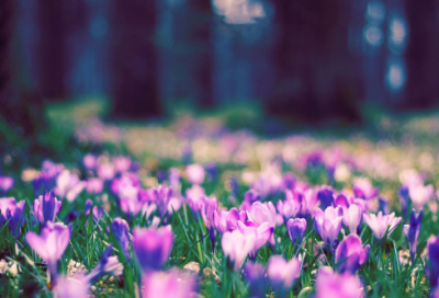 ​带数字十的谐音网名大全