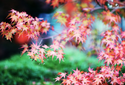 ​带手工屋的网名大全