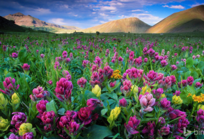 ​带常姓氏的网名大全男