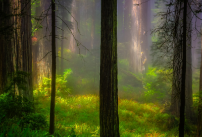 带成的谐音的网名大全