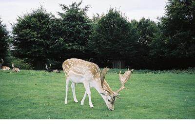 关于自恋的搞笑说说