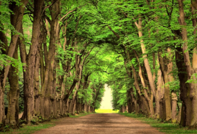 ​适合70后的二字网名男生(192个)