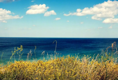 女生心碎伤心孤独网名(优选141个)