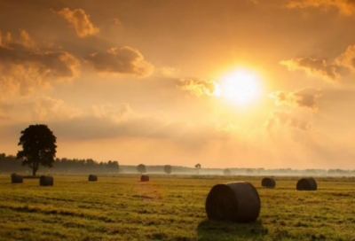 用华字取一个好听的网名(150个)