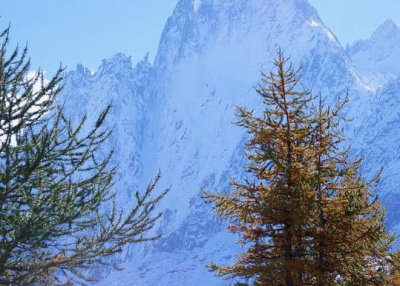 ​看清自己的经典语录