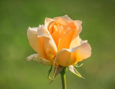 ​年终总结的经典短句（50句工作总结精辟短句）