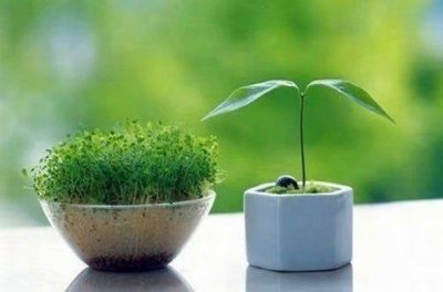 ​苍山脚下洱海边的说说 苍山洱海朋友圈句子(39句)