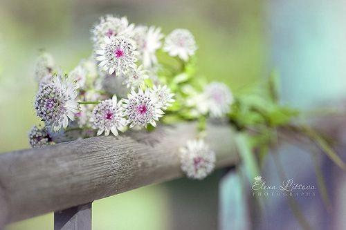 从懵懂到成熟的心理描写