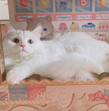 让人开心的幽默句子 让人开心幽默的简短句子