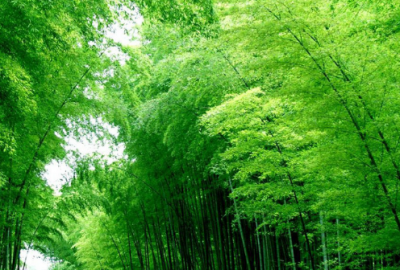 ​关于美食的文案 走心又走胃的美食文案(25句)