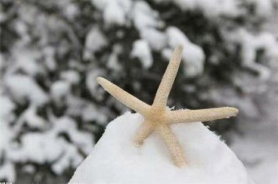 ​关于孝顺的经典语录 孝顺要及时经典语录(精选32句)