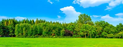 ​适合旅游发的唯美句子经典语录