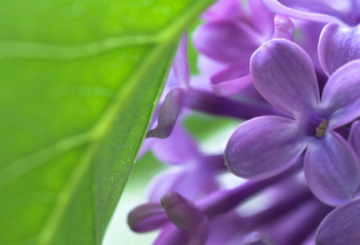 ​寓意越来越好的网名(精选125个)