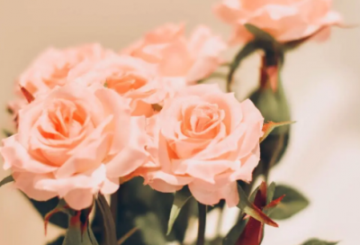 ​qq个性女生霸气简短网名(124个)