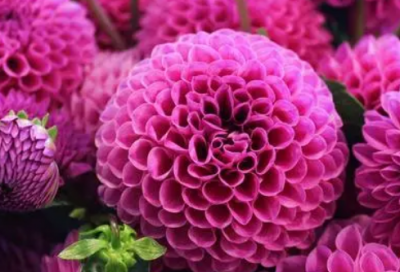 ​取个有财气的名字(优选120个)