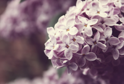 ​不会撞名的原耽网名(130个)