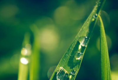 ​曾经的相伴qq网名(共131个)