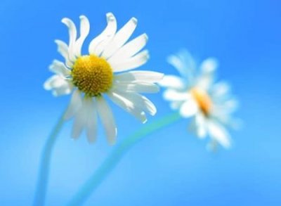 ​好听吸引人的四个字网名