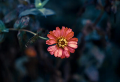 ​俏皮心爱的情侣网名(61个)