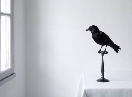 三个字的男生网名，最新好听的三个字男生昵称