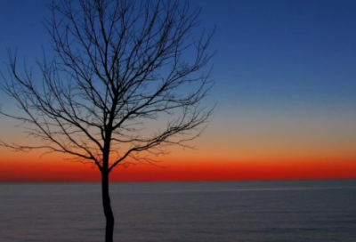 ​轩辕传奇个性名字_妖孽丶吃我一棒