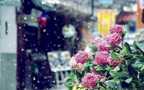 关于性格的英语单词 激励自己的座右铭