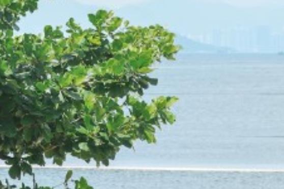 第一天励志话语