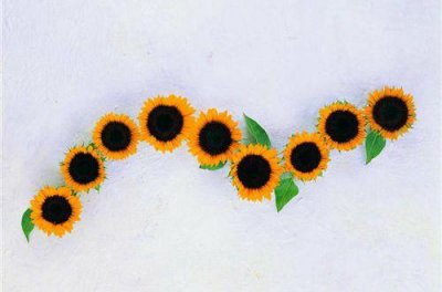 ​励志激励句子