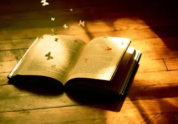 梦想与青春的励志句子