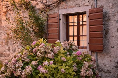 ​心灵鸡汤励志美文1000字