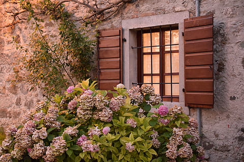 心灵鸡汤励志美文1000字