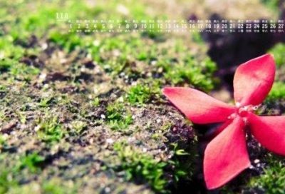 ​平凡的世界优美语句摘抄，太阳，在任何地方都美好的照耀着我们