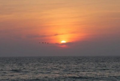 ​海上钢琴师经典台词