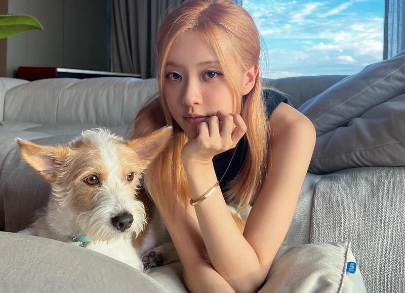 说说-一句正能量说说致自己 正能量励志心情短语