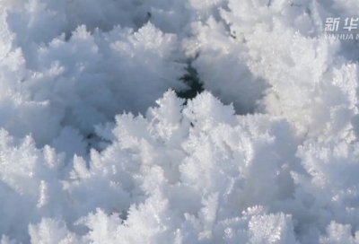 ​新天生一对经典台词_经典台词