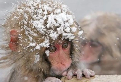 ​aa制生活经典台词