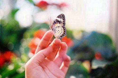 描写心痛的经典句子说说心情