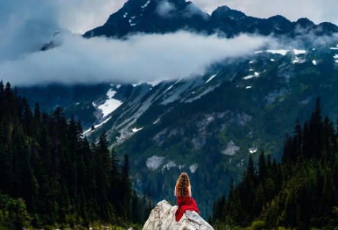 1706535690940072.png image.png