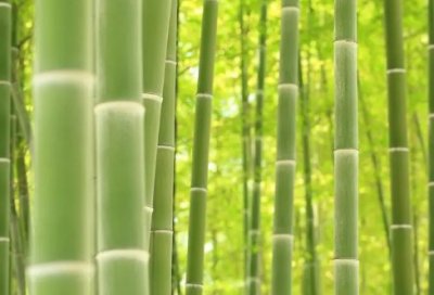 ​干净好听的昵称古风