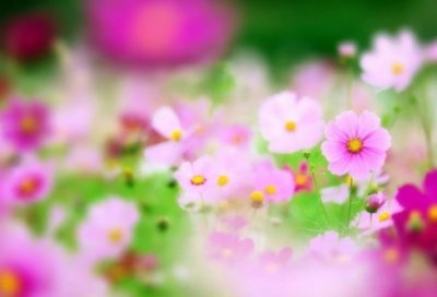 ​王者荣耀古风名字2个字优雅好听（霸气冷漠王者荣耀古风名字2个字）