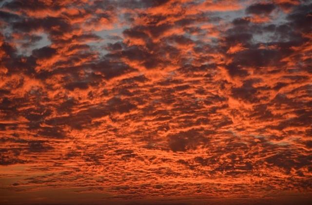 放不下一个人的伤感句子