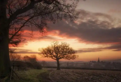 ​禅房花木深的上一句